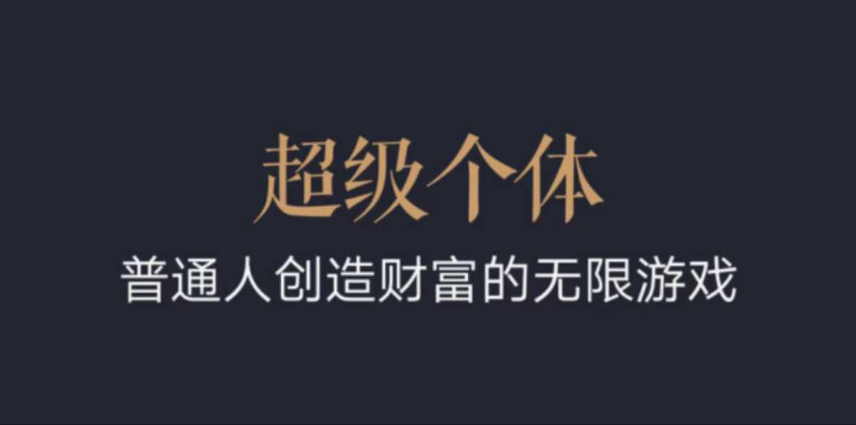 2024-2025 超级个体翻盘指南：普通人的财富创造无限游戏-芒果云创