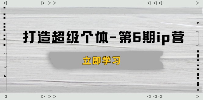超级个体第 6 期 IP 营：商业认知升级，产品设计与成交演练助你知识变现-芒果云创