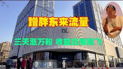 蹭胖东来流量，三天涨万粉，收益直接起飞-芒果云创