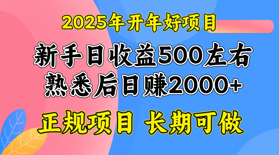 2025开年好项目，单号日收益2000左右-芒果云创