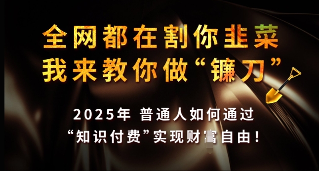 全网都在割你韭菜，我来教你做镰刀，2025年普通人如何通过 知识付费 实现财F自由【揭秘】-芒果云创