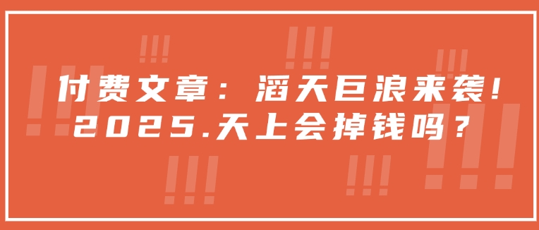 付费文章：滔天巨浪来袭！2025天上会掉钱吗？-芒果云创