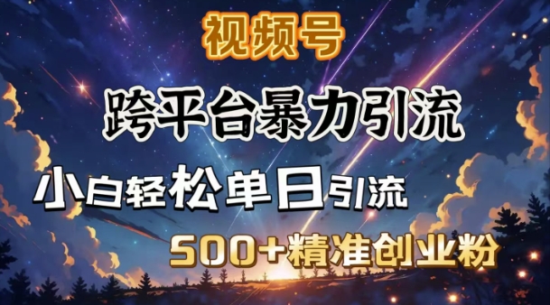 跨平台暴力引流，私域完美闭环，日引500+精准创业粉-芒果云创