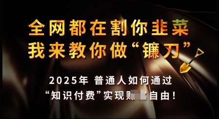 知识付费如何做到月入过W+，2025我来教你做“镰刀”【揭秘】-芒果云创