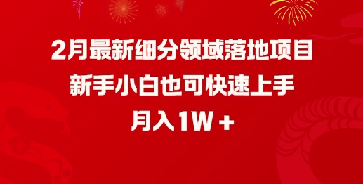 2月最新细分领域落地项目，新手小白也可快速上手，月入1W-芒果云创