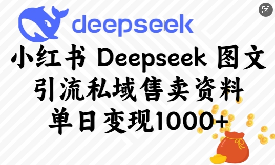 小红书Deepseek图文引流私域售卖资料，单日变现多张-芒果云创