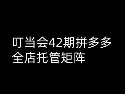 叮当会拼多多打爆班原创高阶技术第42期，拼多多全店托管矩阵-芒果云创