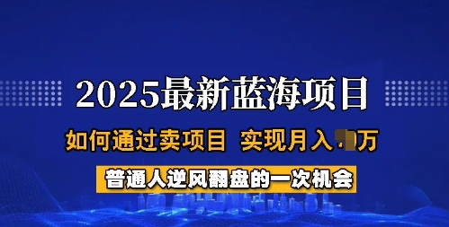 2025蓝海项目，普通人如何通过卖项目，实现月入过W，全过程【揭秘】-芒果云创