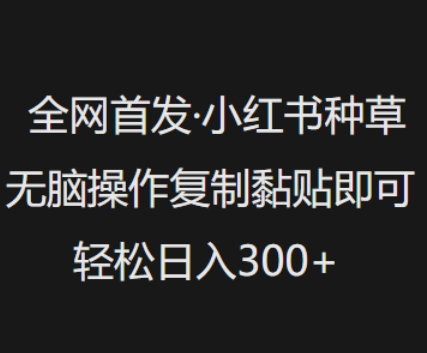 全网首发，小红书种草无脑操作，复制黏贴即可，轻松日入3张-芒果云创