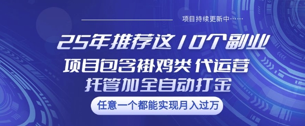 2025躺赚副业TOP10：挂机+代运营+打金冷门玩法，新手单月变现2.8W实操-芒果云创