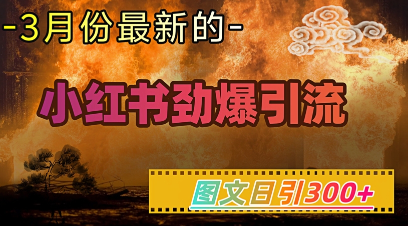 小红书暴力引流术：图文日引500+精准粉，单账号月入5W+全流程拆解-芒果云创