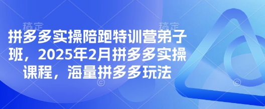 拼多多实操陪跑特训营弟子班，2025年2月拼多多实操课程，海量拼多多玩法-芒果云创