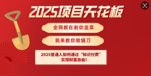 2025项目天花板普通人如何通过知识付费，实现财F自由【揭秘】-芒果云创